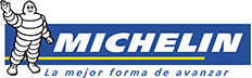 Neumaticos Michelin